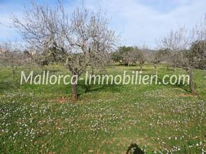 Thumbnail von GRUNDSTÜCK MIT MEERBLICK VOM ERSTEN STOCK MIT PROJEKT