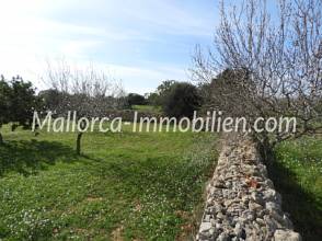 Thumbnail von GRUNDSTÜCK MIT MEERBLICK VOM ERSTEN STOCK MIT PROJEKT