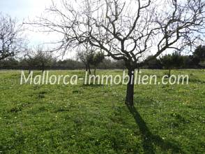 Thumbnail von GRUNDSTÜCK MIT MEERBLICK VOM ERSTEN STOCK MIT PROJEKT