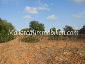 Thumbnail von GRUNDSTÜCK IN EXPONIERTER LAGE MIT TRAUMHAFTEM MEERBLICK