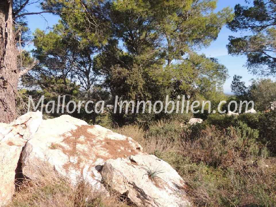 EINMALIGES GRUNDSTÜCK MIT MEERBLICK UND FINCA-ROHBAU