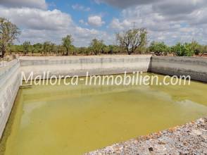 Thumbnail von EINMALIGES GRUNDSTÜCK MIT ROMANTISCH GELEGENER FINCA ZUM RENOVIEREN