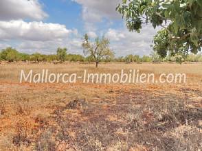 Thumbnail von EINMALIGES GRUNDSTÜCK MIT ROMANTISCH GELEGENER FINCA ZUM RENOVIEREN