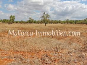 Thumbnail von EINMALIGES GRUNDSTÜCK MIT ROMANTISCH GELEGENER FINCA ZUM RENOVIEREN