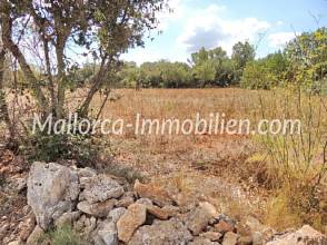 Thumbnail von EINMALIGES GRUNDSTÜCK MIT ROMANTISCH GELEGENER FINCA ZUM RENOVIEREN