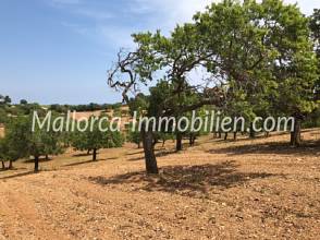 Thumbnail von EXCLUSIVES GRUNDSTÜCK MIT EINMALIGEM MEERBLICK IN EXPONIERTER LAGE