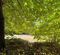 Thumbnail von herrschaftliches Anwesen mit viel Potenzial in Hügellage mit Blick auf Siena