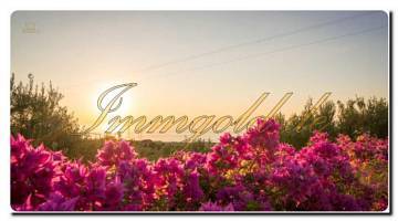 Thumbnail von Immogold reizende Villa mit Pool und herrlichem Panorama-Meerblick