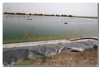 Thumbnail von Immogold Oliven Finca mit ca. 2.000.000 m² Grundstück und Pool