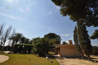 Thumbnail von Villa For Sale in Elda, Alicante