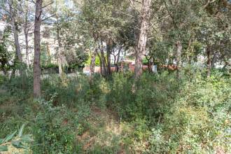 Thumbnail von Land For Sale in Capdepera, Baleares