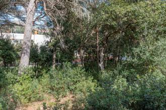 Thumbnail von Land For Sale in Capdepera, Baleares