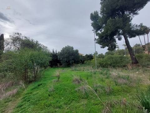  Nagüeles Land ES133870