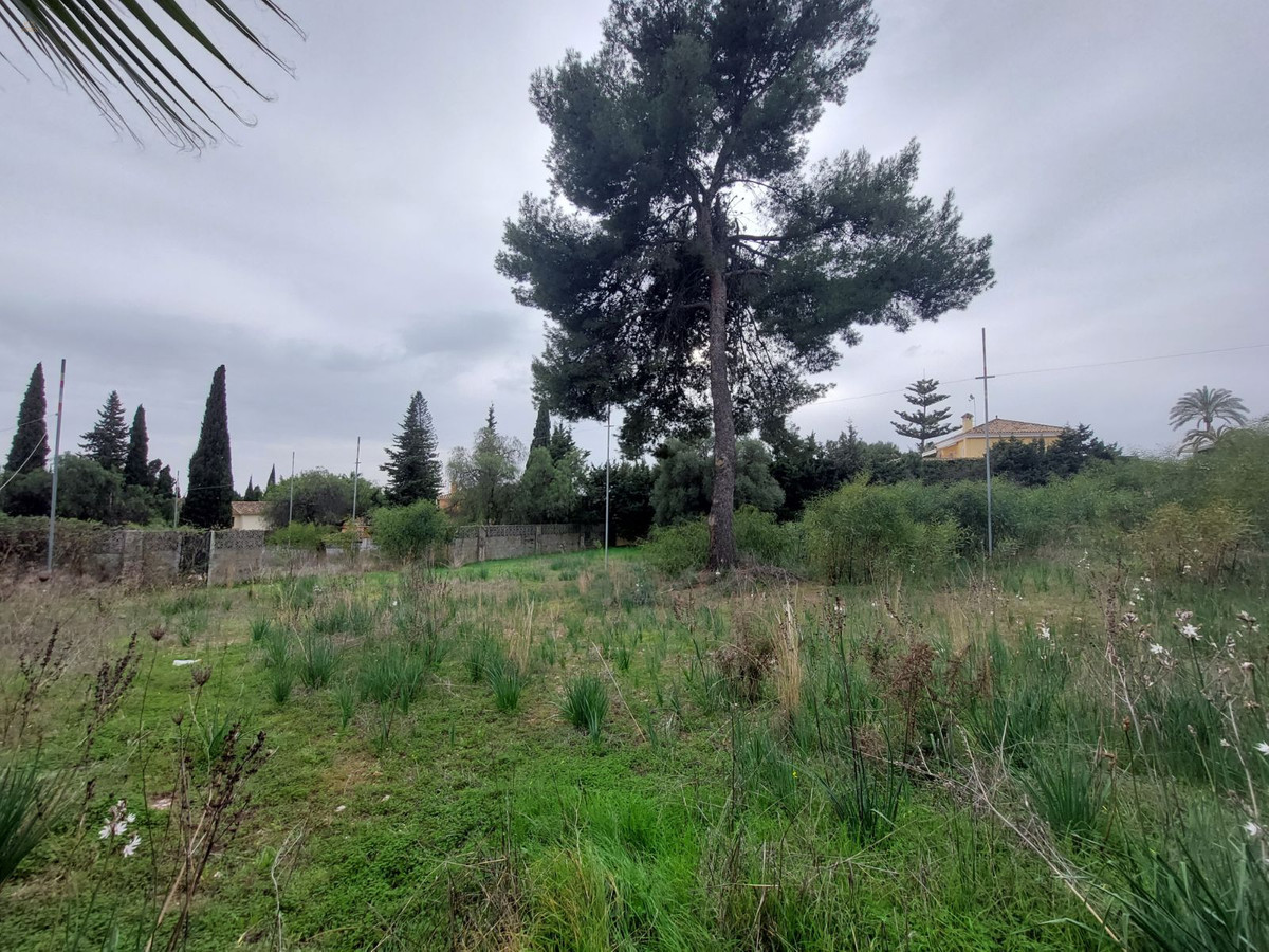 Thumbnail von Nagüeles Land ES133870