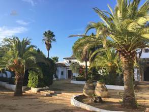 Thumbnail von Sevilla Country House ES133784