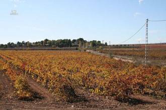 Thumbnail von Villa For Sale in Pinoso, Alicante