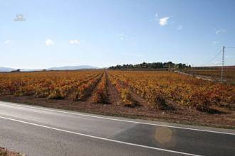 Thumbnail von Villa For Sale in Pinoso, Alicante