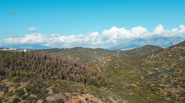 Thumbnail von Apartment For Sale in Mijas Costa, Málaga