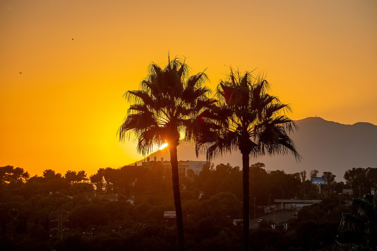 Thumbnail von Marbella Villa ES130520