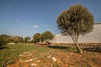 Thumbnail von Land For Sale in Manacor, Baleares