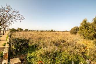 Thumbnail von Land For Sale in Manacor, Baleares