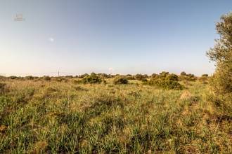 Thumbnail von Land For Sale in Manacor, Baleares