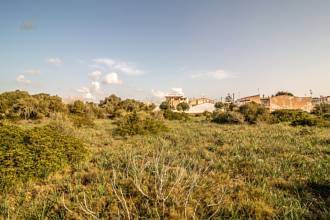 Thumbnail von Land For Sale in Manacor, Baleares