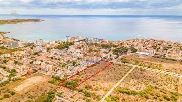 Thumbnail von Land For Sale in Manacor, Baleares