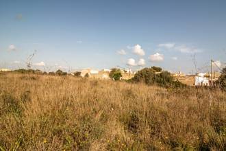 Thumbnail von Land For Sale in Manacor, Baleares