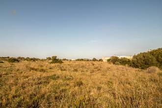 Thumbnail von Land For Sale in Manacor, Baleares