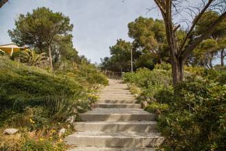 Thumbnail von Country House For Sale in Manacor, Baleares