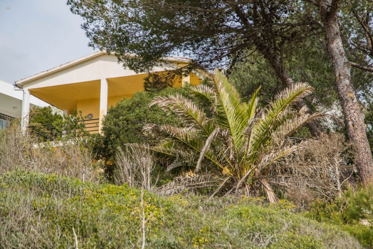 Thumbnail von Country House For Sale in Manacor, Baleares