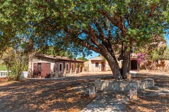 Thumbnail von Artà Villa ES124945