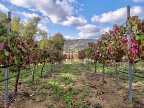 Thumbnail von Ronda Villa ES124809