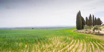 Thumbnail von Antequera Commercial Property ES124444