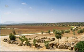 Thumbnail von Antequera Commercial Property ES124444