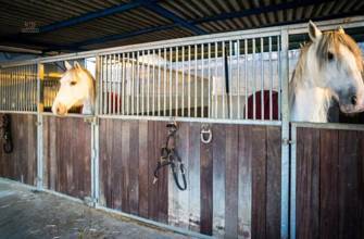 Thumbnail von Antequera Commercial Property ES124444