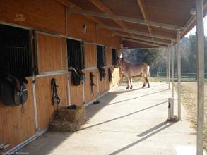 Thumbnail von Barcelona Commercial Property ES31096