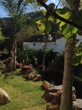 Thumbnail von Benaoján Villa ES91297