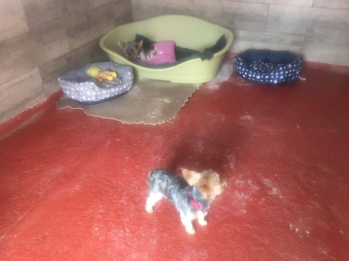 Thumbnail von Commercial Property For Sale in Fortuna, Murcia