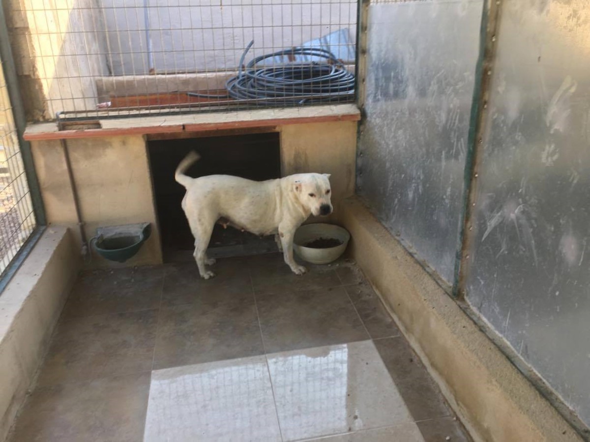 Thumbnail von Commercial Property For Sale in Fortuna, Murcia