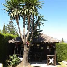 Thumbnail von Luxus-Villa in Benahavis R2737019