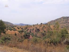 Thumbnail von Almogía Land ES132511