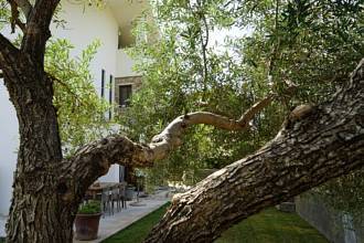 Thumbnail von Villa For Sale in Ronda, Málaga