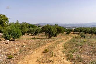 Thumbnail von Land For Sale in Alhaurin de la Torre, Málaga
