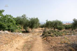 Thumbnail von Land For Sale in Alhaurin de la Torre, Málaga