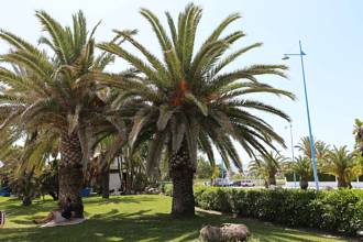 Thumbnail von Villa For Sale in San Pedro de Alcántara, Málaga