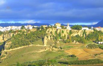 Thumbnail von Commercial Property For Sale in Ronda, Málaga