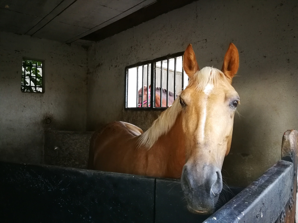 Thumbnail von Land For Sale in La Cala Hills, Málaga