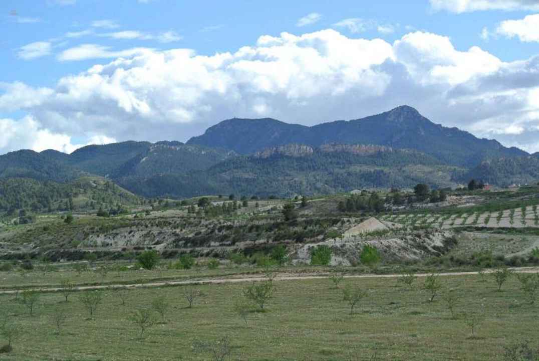 Villa For Sale in Torre del Rico, Murcia